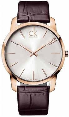 Ceas Calvin Klein City K2G21629