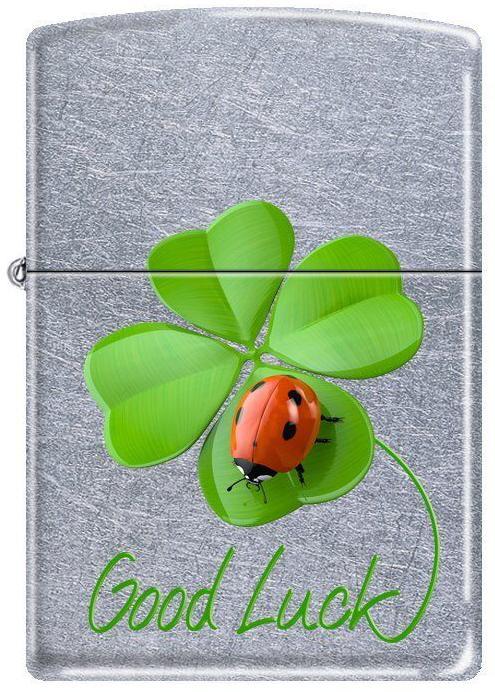 Brichetă Zippo Ladybug 5272